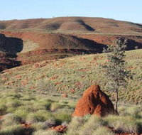 Camel Trail Millstream-Chichester National Park - Sydney Tourism