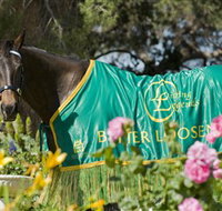 Living Legends The International Home of Rest for Champion Horses - Sydney Tourism