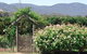 Samaria Farm - thumb 2