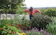Samaria Farm - thumb 4