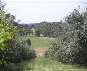 Samaria Farm - Sydney Tourism 7