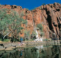 Python Pool - Sydney Tourism