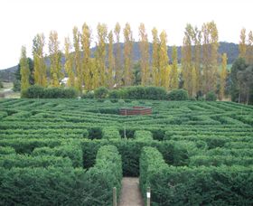 Brookfield Maze - Sydney Tourism 0