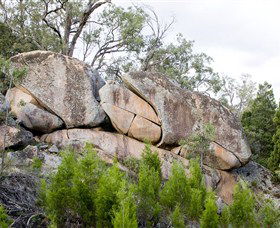 Frog Rock - Sydney Tourism 1