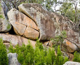 Frog Rock - Sydney Tourism 0