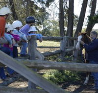 Harlow Park Horse Riding