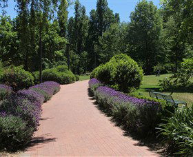 Glebe Park - Sydney Tourism 1