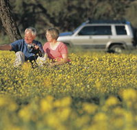 Coalseam Conservation Park - Sydney Tourism
