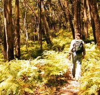 Federal Pass - Sydney Tourism