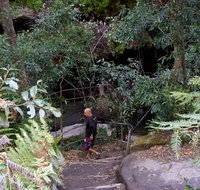 Leura Cascades Fern Bower - Sydney Tourism