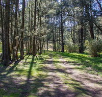 Wombeyan Waterfall walking track - Sydney Tourism