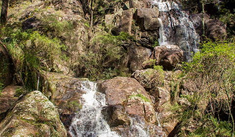 Wombeyan Waterfall Walking Track - Sydney Tourism 3