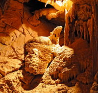Fig Tree Cave - Sydney Tourism
