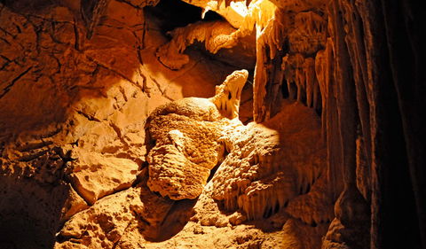 Fig Tree Cave - Sydney Tourism 0