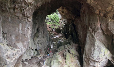 Fig Tree Cave - Sydney Tourism 1