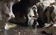 Fig Tree Cave - thumb 2