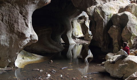 Fig Tree Cave - Sydney Tourism 2