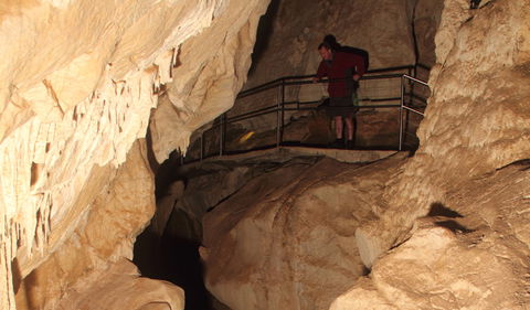 Fig Tree Cave - Sydney Tourism 3