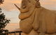 Big Merino - thumb 3