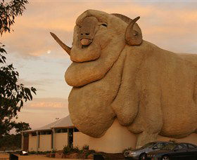 Big Merino - Sydney Tourism 3