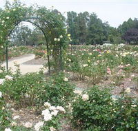 Victoria Park Rose Garden - Sydney Tourism