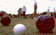Goulburn Railway Bowling Club - thumb 0
