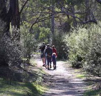 Syd's Rapids and Aboriginal Heritage Trail Avon Valley - Sydney Tourism