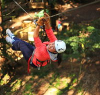 Trees Adventure Grose River Park - Sydney Tourism