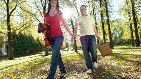 Glebe Park - Sydney Tourism 2