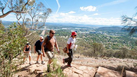 Mount Ainslie Lookout - Sydney Tourism 2
