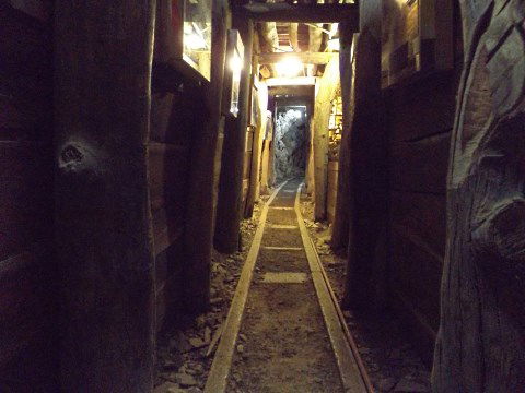 History Hill - Sydney Tourism 5