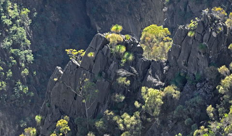 Bungonia National Park - Sydney Tourism 2
