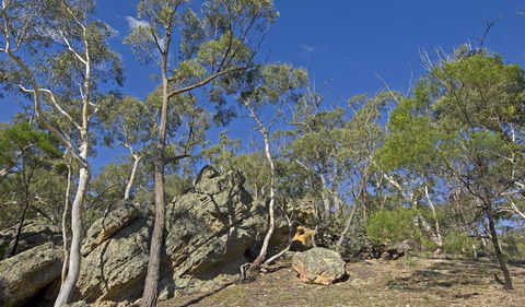 Bungonia National Park - Sydney Tourism 3