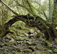 Mitchell River National Park - Sydney Tourism