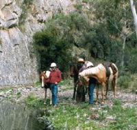 Yarramba Horse Riding - Sydney Tourism