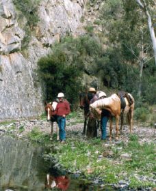 Yarramba Horse Riding - Sydney Tourism 0