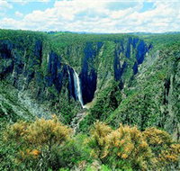 Wollomombi Falls - Sydney Tourism