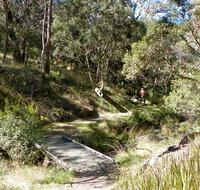Wollomombi walking track - Sydney Tourism