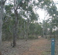 Green track - Sydney Tourism