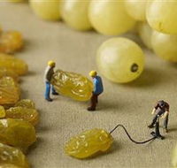 Hunter Valley Wine School - Sydney Tourism