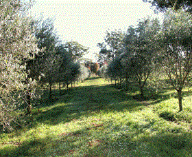 Langdale Farm - Sydney Tourism