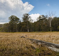 Mummel Gulf National Park - Sydney Tourism