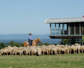 Tobruk Sydney - Sydney Tourism 0