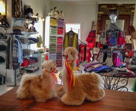 Australian Alpaca Barn - Hunter Valley Gardens - Sydney Tourism 2