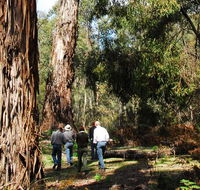 Tallaganda National Park - Sydney Tourism