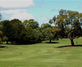 Cooma Golf Club - Sydney Tourism 1