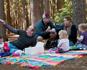 State Forests Of The Watagan Mountains - Sydney Tourism 0