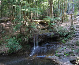 State Forests Of The Watagan Mountains - Sydney Tourism 3