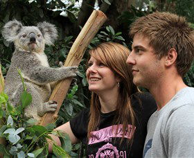 Featherdale Wildlife Park - Sydney Tourism 0
