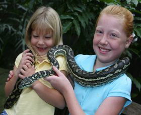 Featherdale Wildlife Park - Sydney Tourism 2